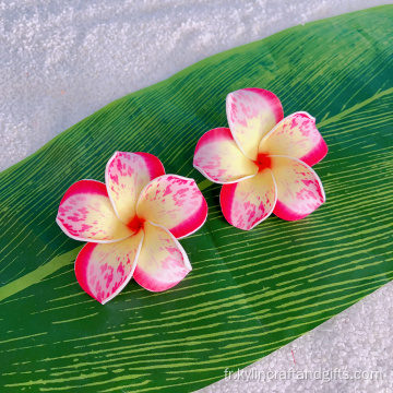 Plume de fleur de mousse à la main Plumeria